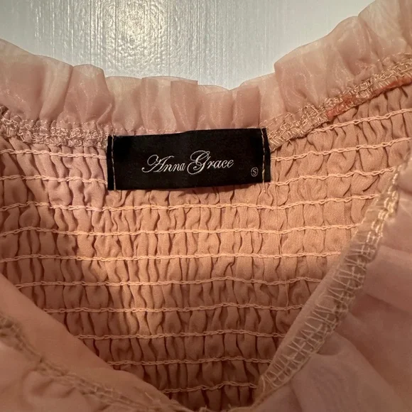 Lizard Thicket Blush Sheer Dress - Picture 4 of 6